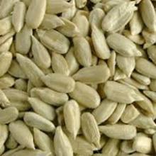 Sunflower seeds Hulled and unhulled sunflower seeds
