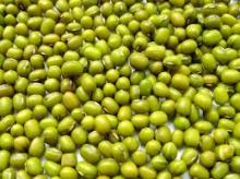 Green Mung beans