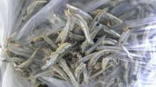 Dry  Salted  anchovy, fresh anchovy, seasoned anchovy
