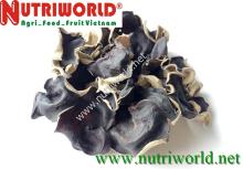 WOOD EAR MUSHROOM