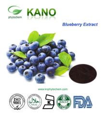 Direct Manufacture Supplying Blueberry Extract 25%Anthocyanidin by UV Super Anti-oxidant