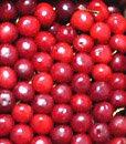 Cherry fruit