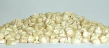 new crop NON-GMO / Organic white maize/corn from Africa