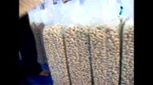 Cashew Nut Kernels - Processed, Deshelled Cashew Kernels w240, w320, w450