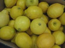  fresh   Eureka   Lemon s Green and yellow