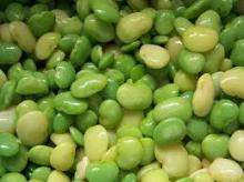Best grade and Quality LIma Beans new crop