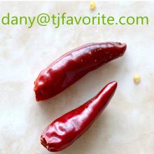 Dried Chinese red chilli