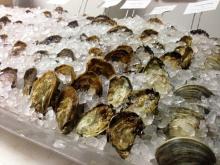 High Quality Frozen  Shellfish  Oyster Meat Size 80-100