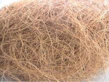  Coconut   Fiber 