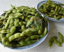 Frozen Edamame, Green Soybean From Fresh Fruits Coporation Vietnam 2016
