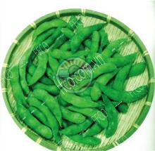 Frozen Green Soybean From Fresh Fruits Coporation Vietnam 2016