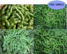 Frozen Edamame Type 1 From Fresh Fruits Coporation Vietnam 2016