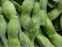Frozen Edamame Type 1with LOW PRICE From Fresh Fruits Coporation Vietnam 2016