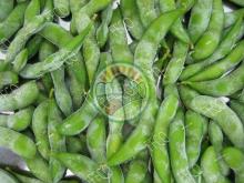 Frozen Green Soybean Type 1 From Fresh Fruits Coporation Vietnam 2016