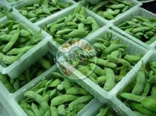 Frozen Green Soybean Type 1 with LOW PRICE From Fresh Fruits Coporation Vietnam 2016
