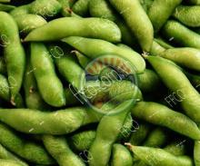 Frozen Green Soybean Grade A with LOW PRICE From Fresh Fruits Coporation Vietnam 2016