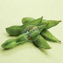 IQF, Frozen Edamame From Fresh Fruits Coporation Vietnam 2016
