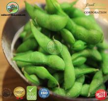 IQF, Frozen Edamame Grade A From Fresh Fruits Coporation Vietnam 2016