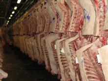 Frozen Halal Buffalo Meat for sale