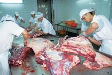  HALAL   FROZEN   BONELESS   BEEF /BUFFALO MEAT READY FOR SUPPLY