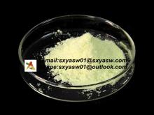Natural 30% 50% 98% Kaempferol CAS No 520-18-3