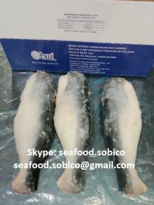  Pangasius  HGT fish (dory/ sutchi/sushi/swai/catfish/white fish/river cobbler vietnam)