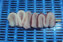 Pangasius  Fillet  Skewered (dory  fish / sutchi/sushi/ swai /cat fish /white  fish /river cobbler)