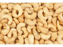Best Quality Cashew Nuts for sale from Brazil