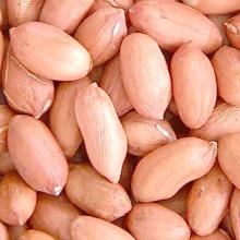 Groundnut/Peanuts