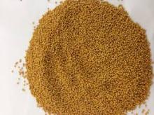 YELLOW RAPESEEDS