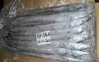 Ribbon Fish / Frozen Ribbon Fish / Sea Foods for sale