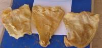 Fish Maw for sale
