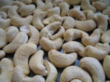 New crop Tapioca chip/Cassava chip for importer with competitive