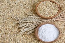 high protein Food Grade vital Wheat Gluten free flour