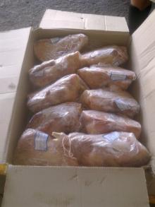 Hen Chicken