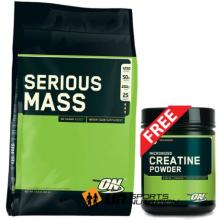 Optimum Nutrition Serious Mass, 5.4 Kilograms