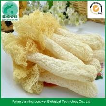 Health Food Dried Bamboo Fungus Mushroom