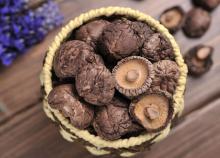 Dried  smooth   shiitake  mushroom