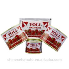 China supplier tomatoes