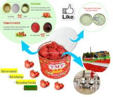Cheap price and canned tomato and paste