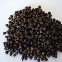 Best Quality Dried Style Black Pepper