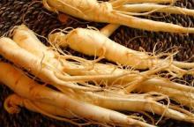 Panax  Ginseng   root   extract 