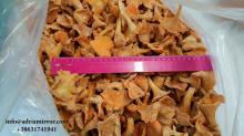  Chanterelle   mushroom 