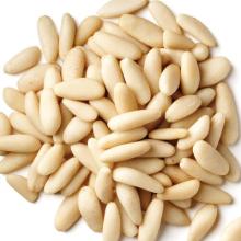  Pine   nut  kernels