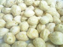 Natural Kemiri Candlenuts