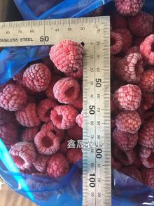  IQF   Raspberry  whole
