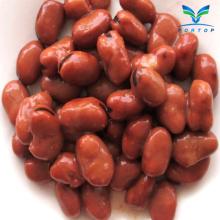 Canned Broad Beans