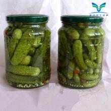  Canned   Cucumber 