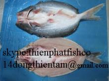 pangasius, basa , tra , cream dory swai fish butterfly