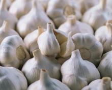 sell WHOLE GARLIC
